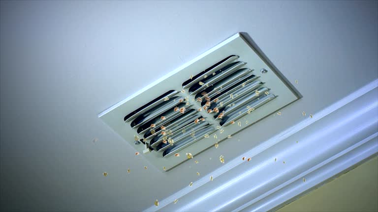 Best Professional Duct Cleaning Services  in Creve Coeur, MO